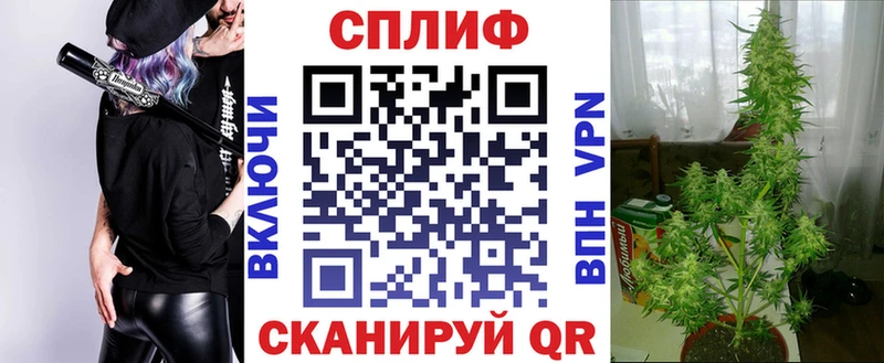 Купить закладку Канабис A PVP АМФЕТАМИН Псилоцибиновые грибы Гашиш Меф мяу мяу Пикалёво