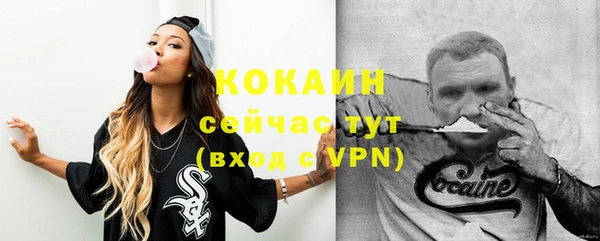 дживик Зеленокумск