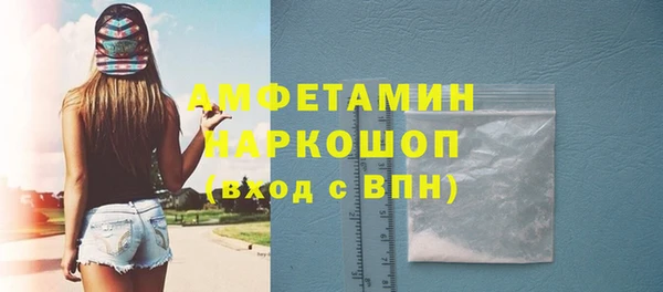 apvp Каменка