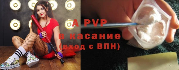 дживик Каменногорск