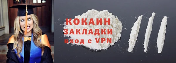 apvp Каменка