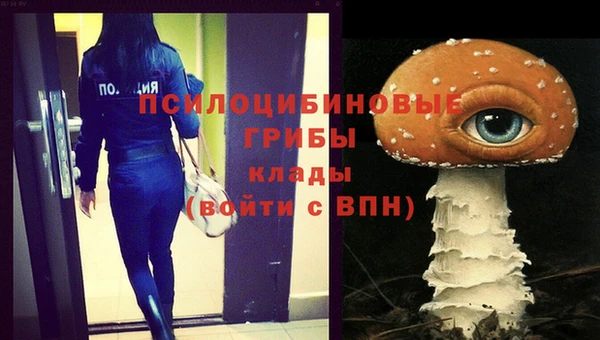 дживик Каменногорск