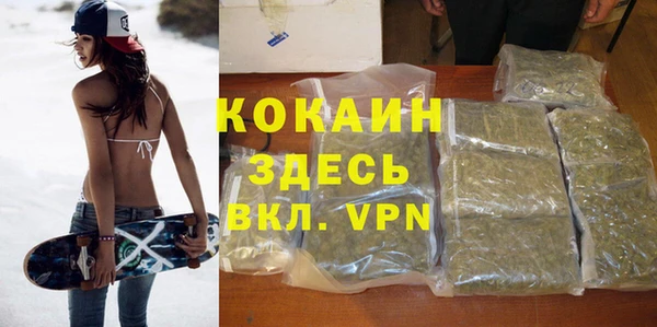 apvp Каменка