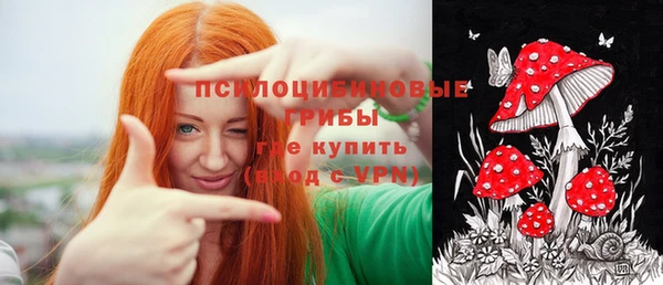дживик Каменногорск