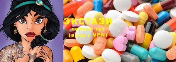 apvp Каменка