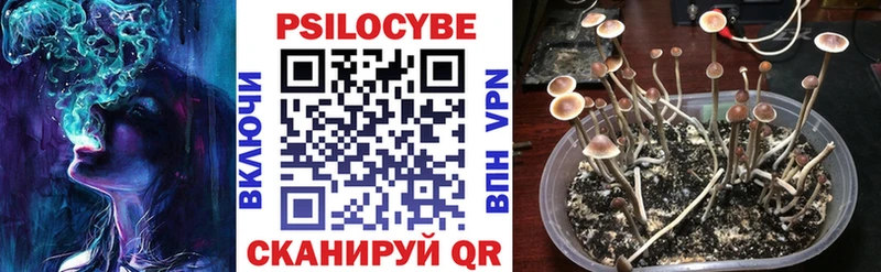 Купить закладки  Пикалёво  Галлюциногенные грибы MAGIC MUSHROOMS 